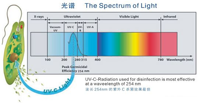 科普！紫外線殺菌燈對人體影響及正確使用方法